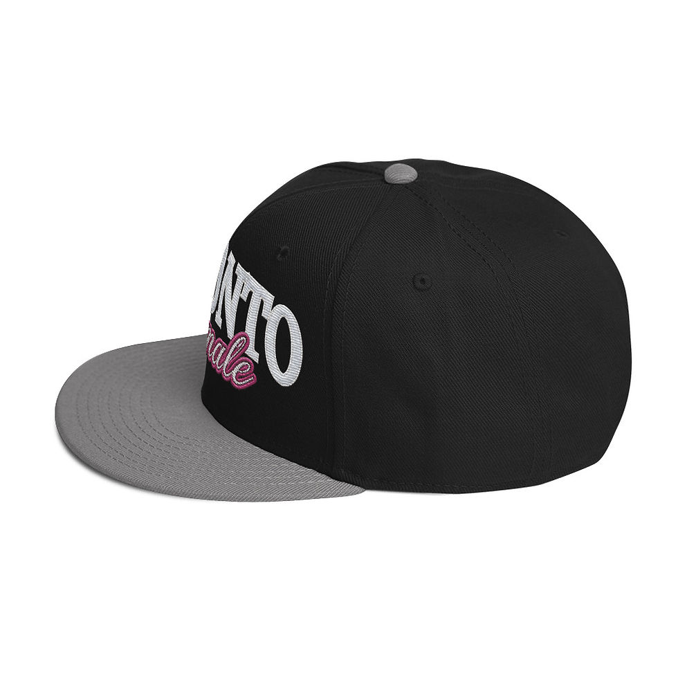 Thumbnail: Toronto snapback