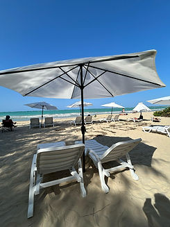 WhatsApp Image 2025-03-21 at 2.58.03 PM.jpeg