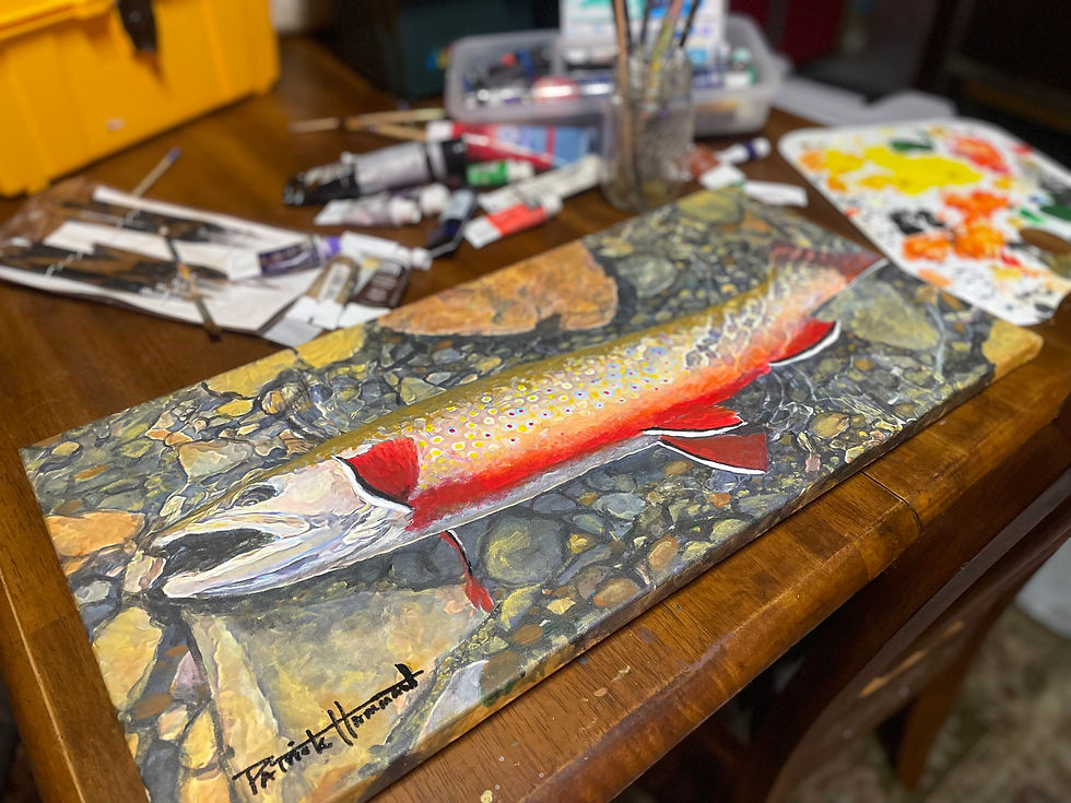 brook trout dreams, brook trout painting, patrick hamman