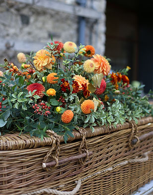 Autumn Spray Closeup 2.JPG