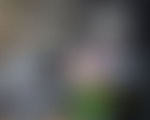 This message was left on my website