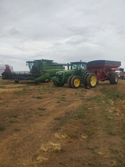 Hay Bales