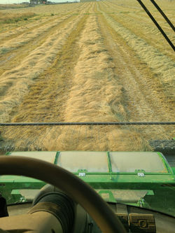 Net Covering Crops