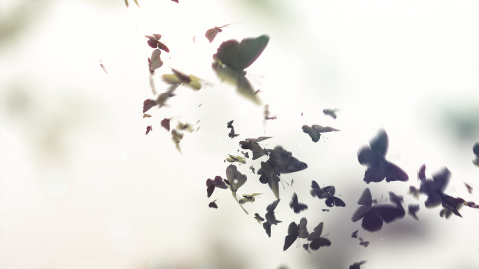 FINAL-RENDER-WITH-AUDIO_01214_o.jpeg