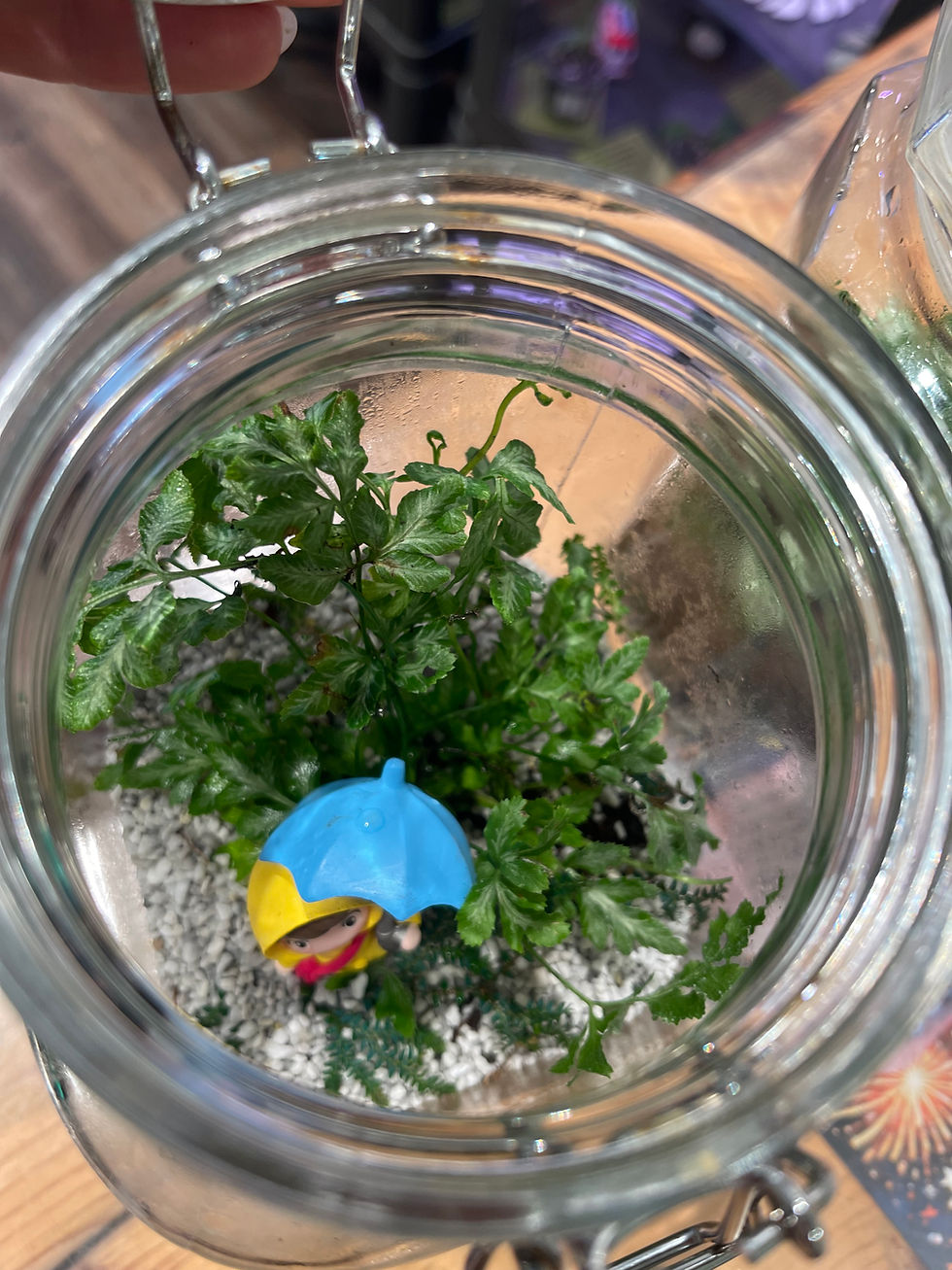 Thumbnail: Medium "Here comes the rain" Terrarium