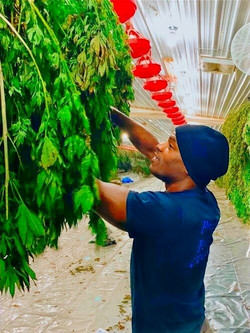 Josh%2520in%2520harvest%2520barn%2520_ed