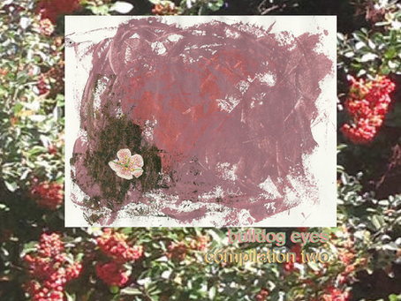 compilation two - new album out today 7.31.22