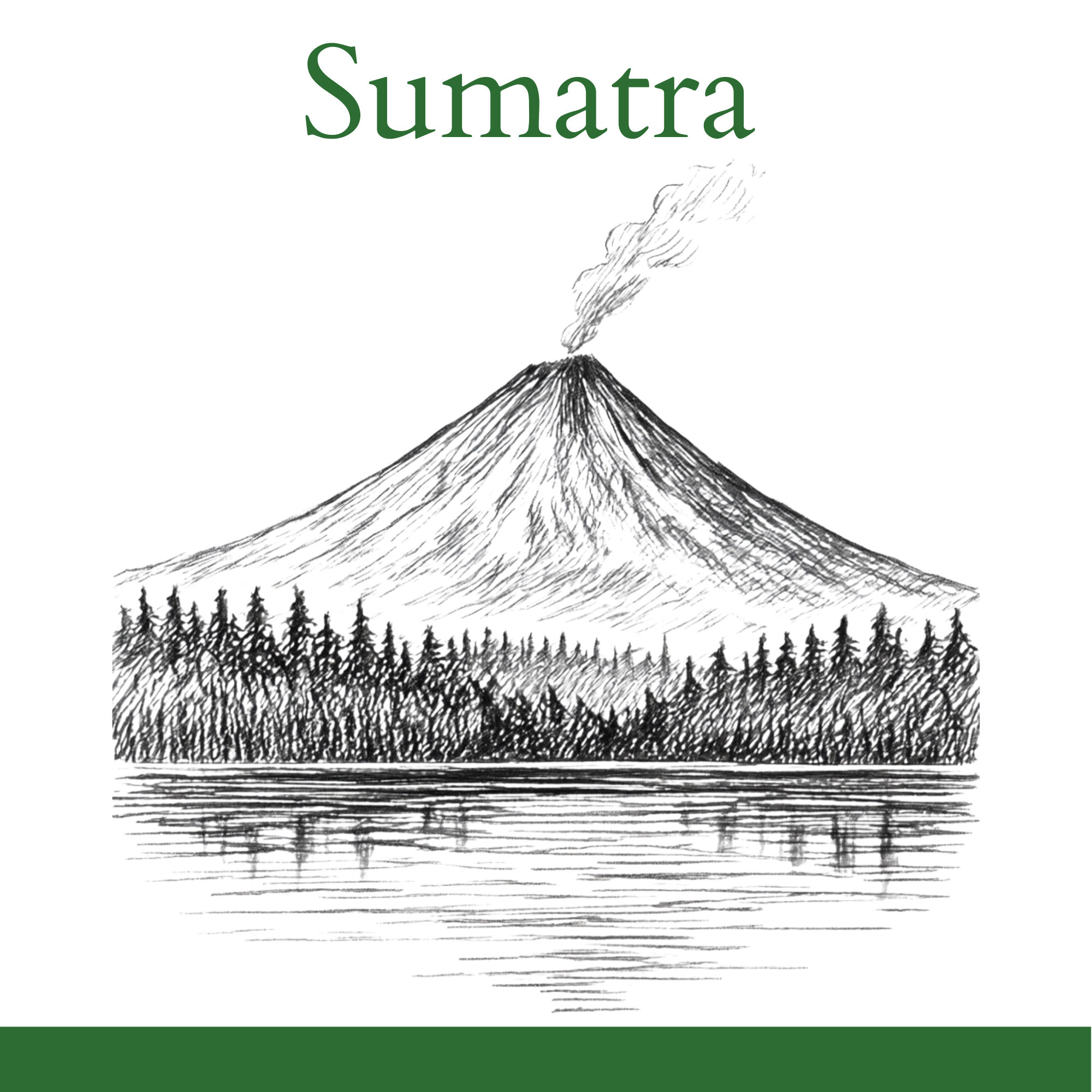 12oz Sumatra