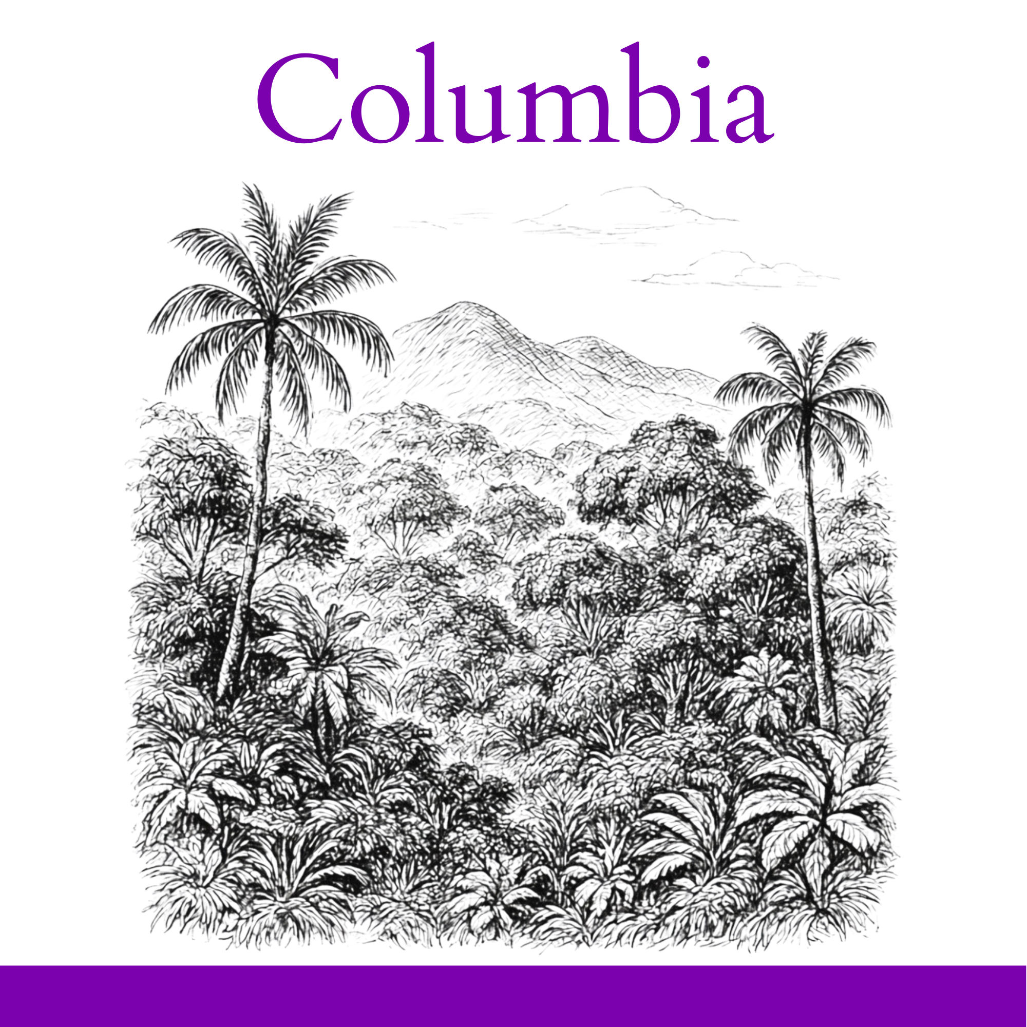 12oz Colombia Decaf