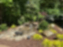 IMG_5533.jpeg
