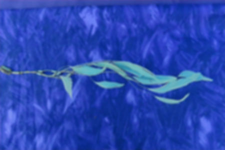 Feather Hair Clip 1017