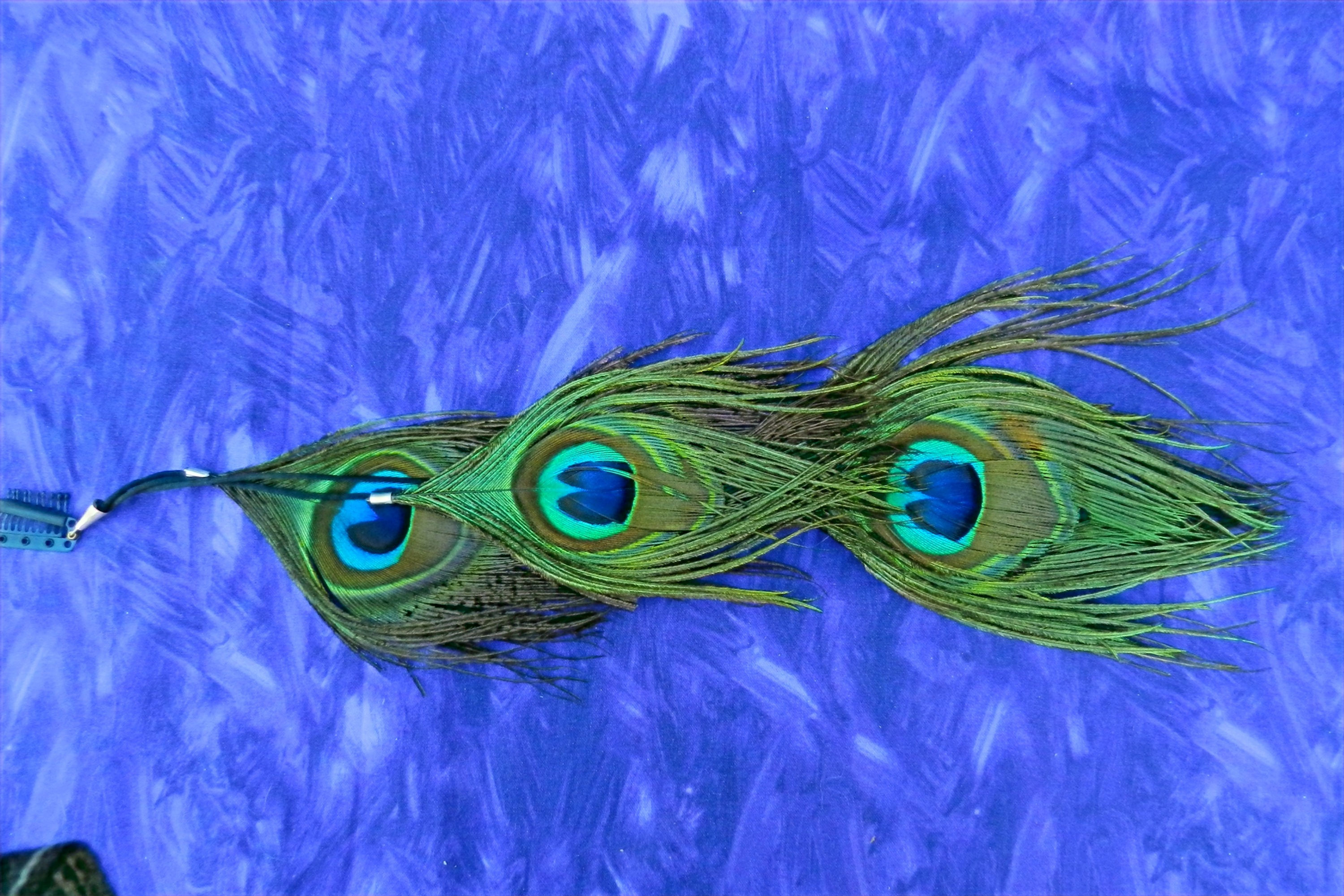 Feather Hair Clip 1039