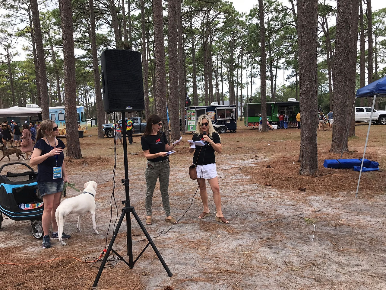 Hurricane Florence Animal Charities