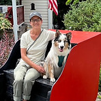 Cheryl Pet sitter in Hoover AL
