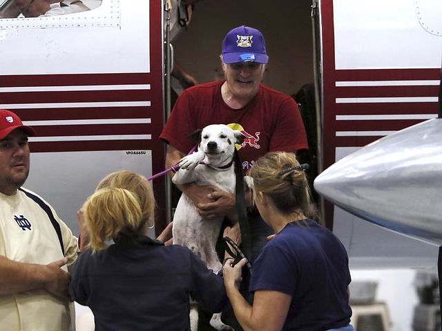 Hurricane Harvey Animal Rescue
