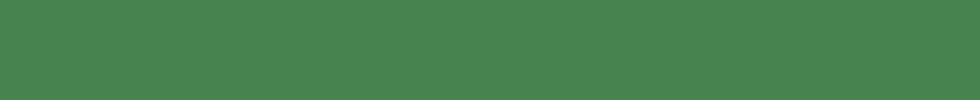 green-strip-2.png