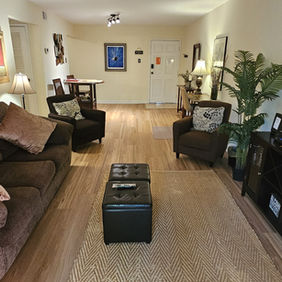 Downtown Athens Condo 2 for rent - living room