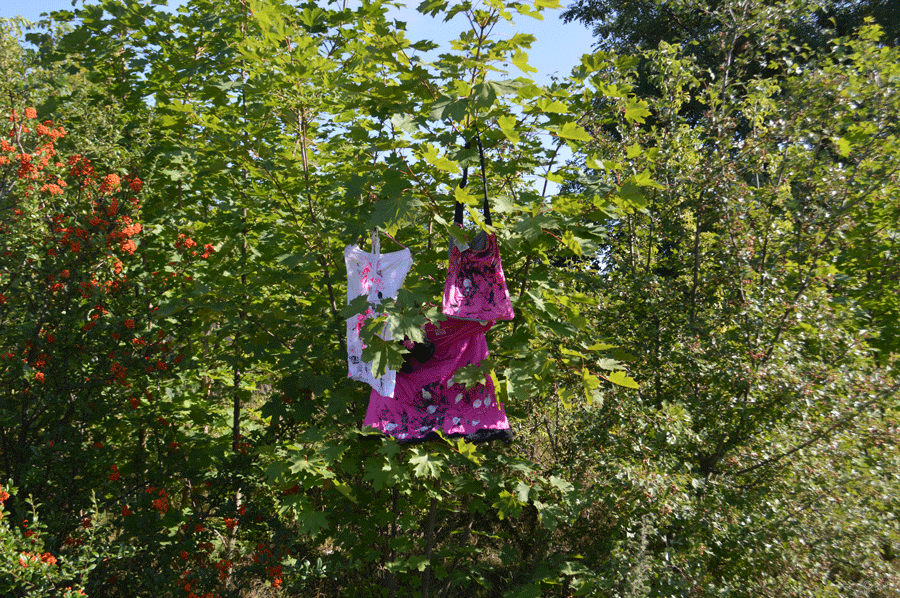 DSC_2906---Kopie