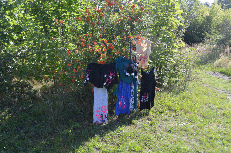 DSC_2903---Kopie