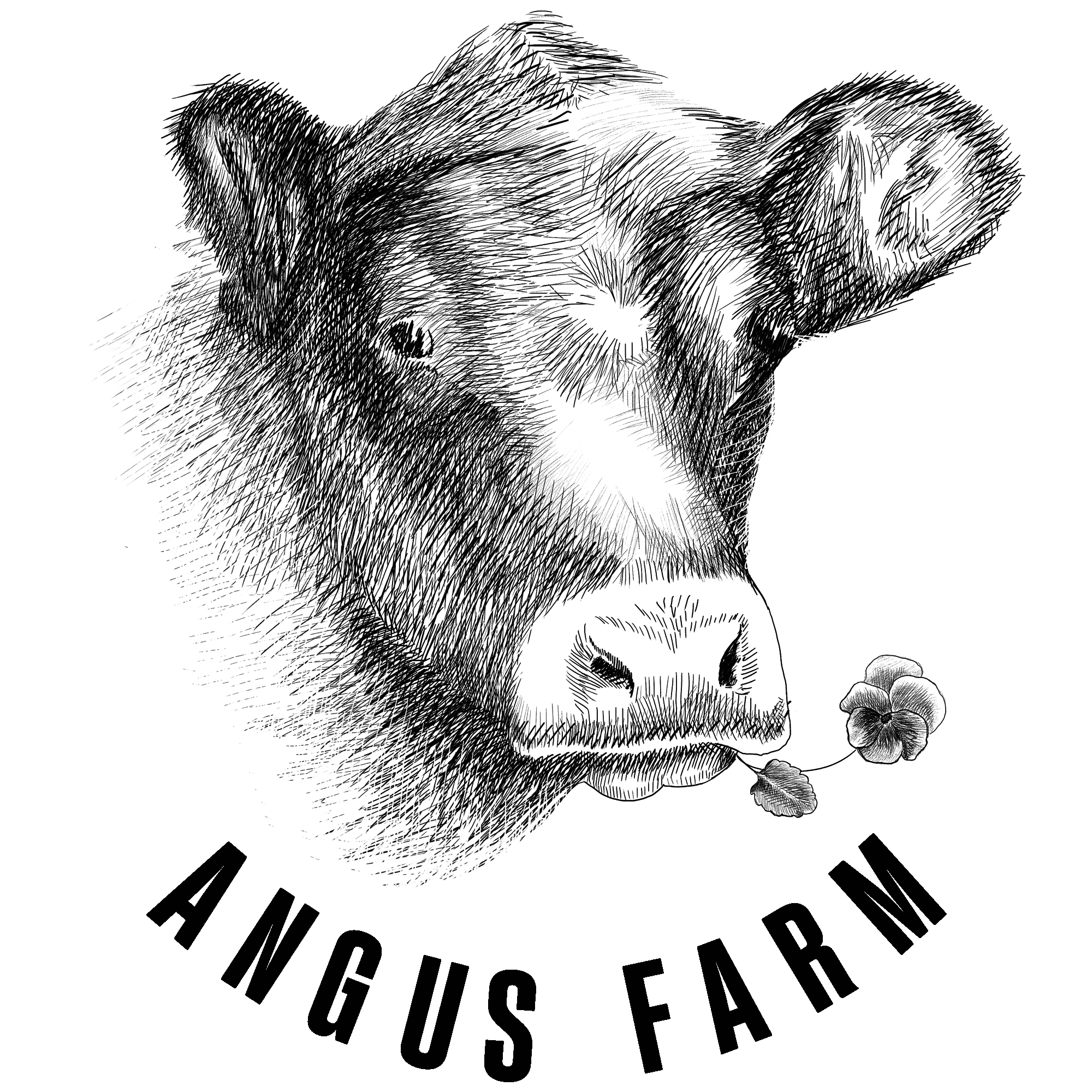 Pension Angusfarm in Soběsuky, Czech Republic