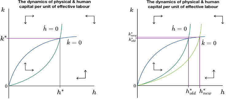 Figure 2: The dynamics of physical & human capital per unit of effective labour, with a shift in human capital.