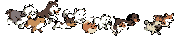 giphy.gif