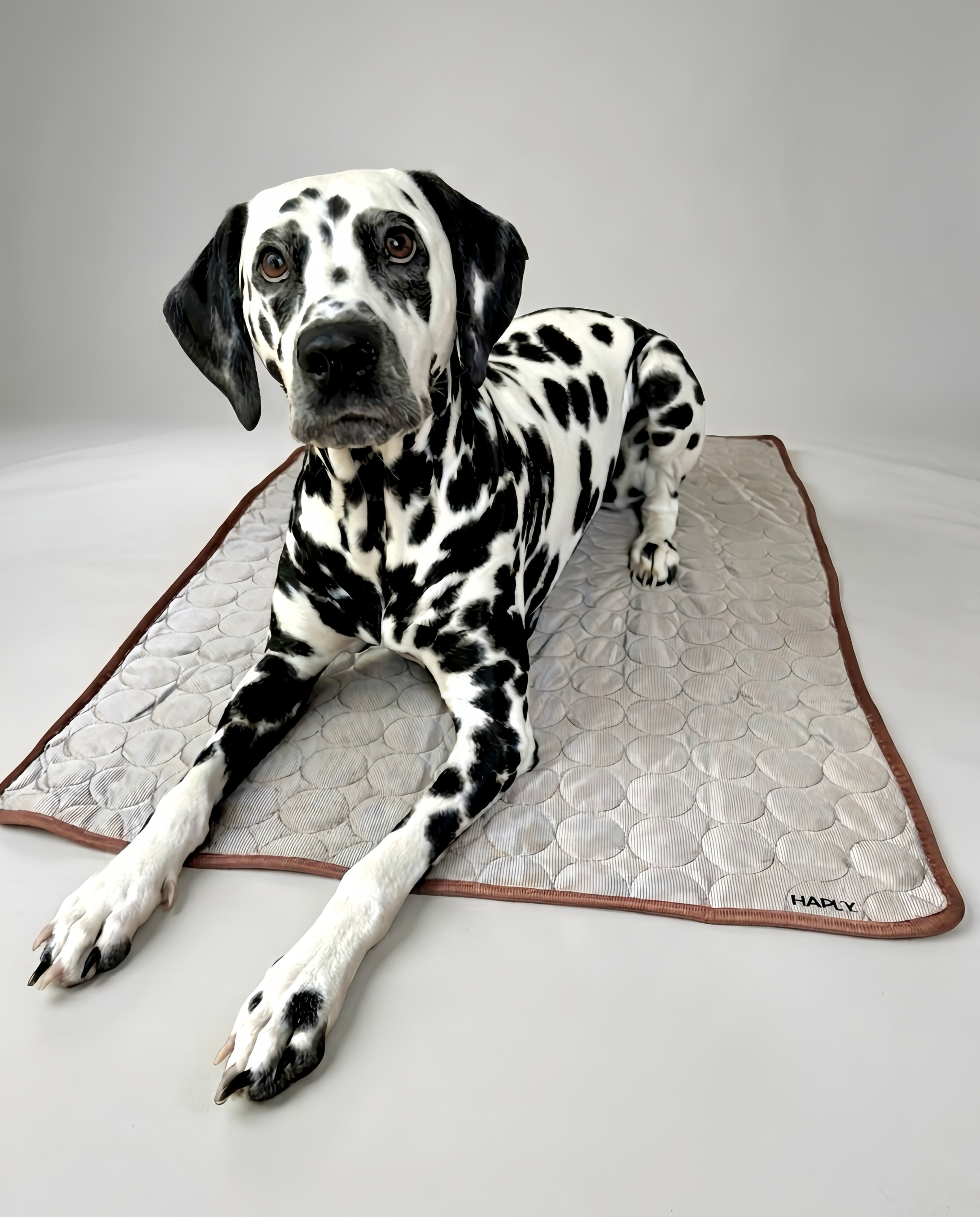Selbstkühlende Hundematte | Kühldecke für Hunde 70x100 cm