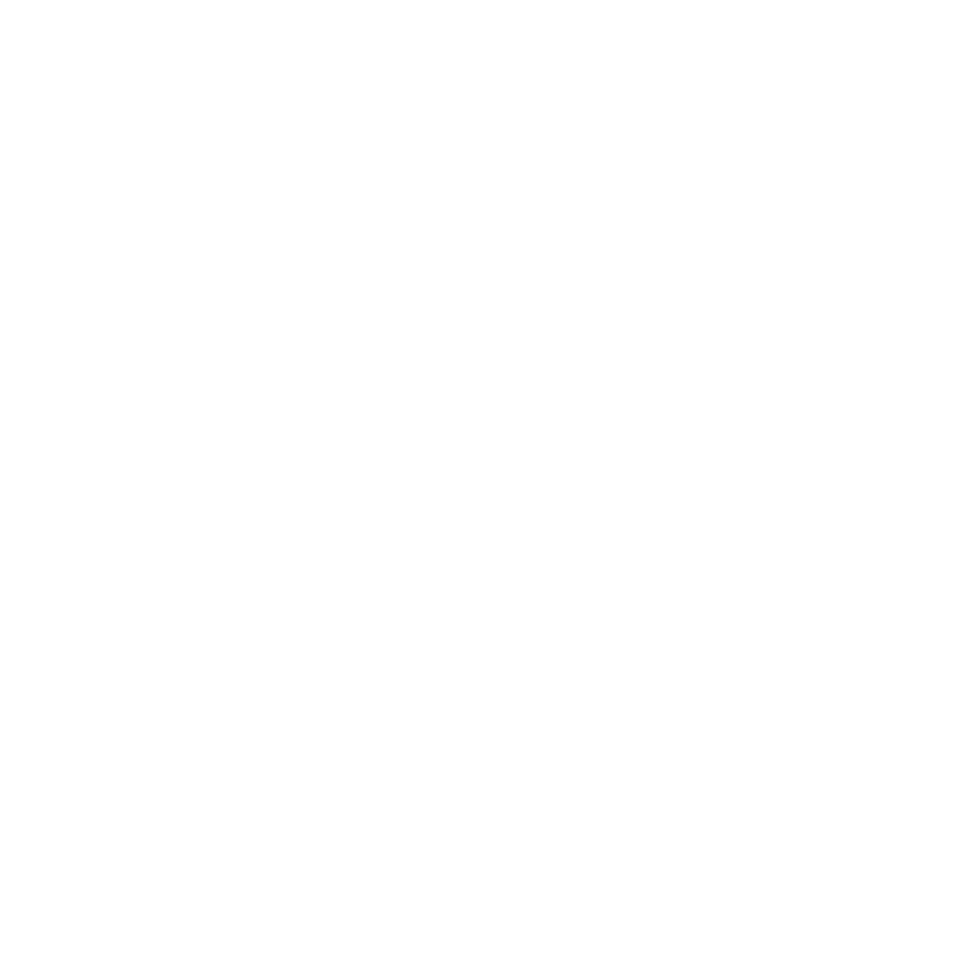 AYRIS_Marque_RGB_White.png