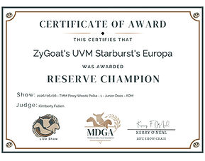 europa reserve 1.jpg