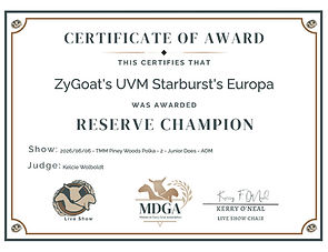 europa reserve 2.jpg