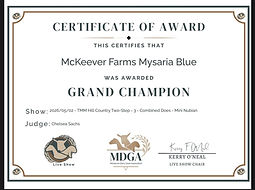 mysaria grand 1.jpg