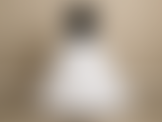 A wedding dress petticoat