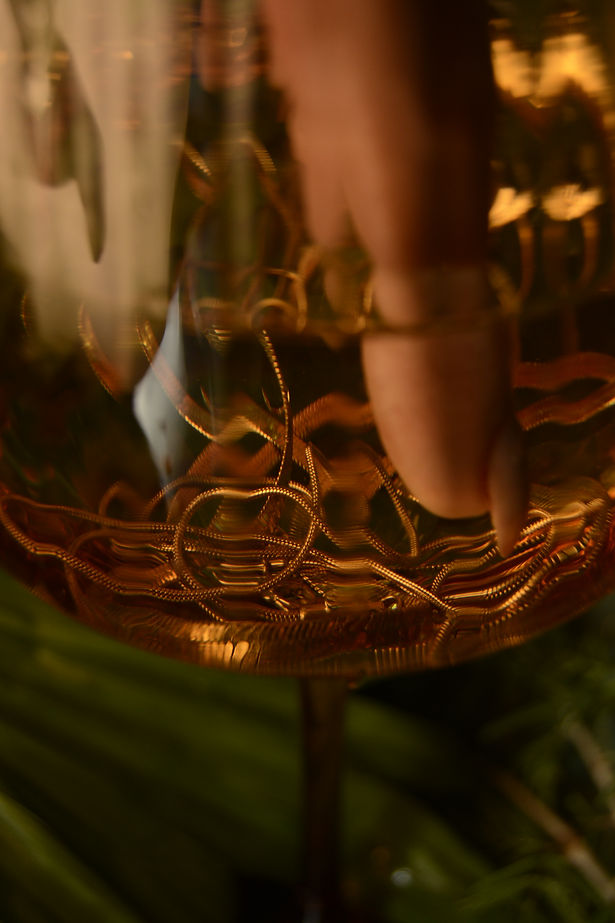 _DSC0305.jpeg