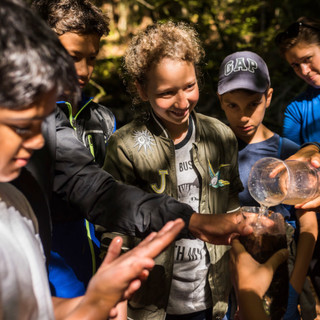 Screen Shot 2019-03-28 at 8.30.32 am cop