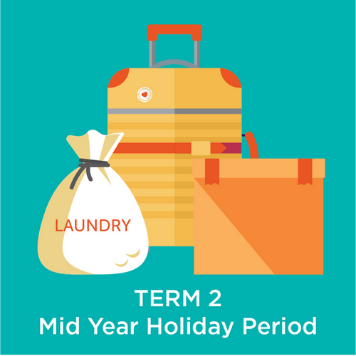 Premium Storage Term 2 SCS