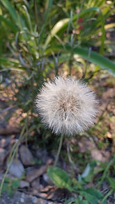 20240422_140708.jpg