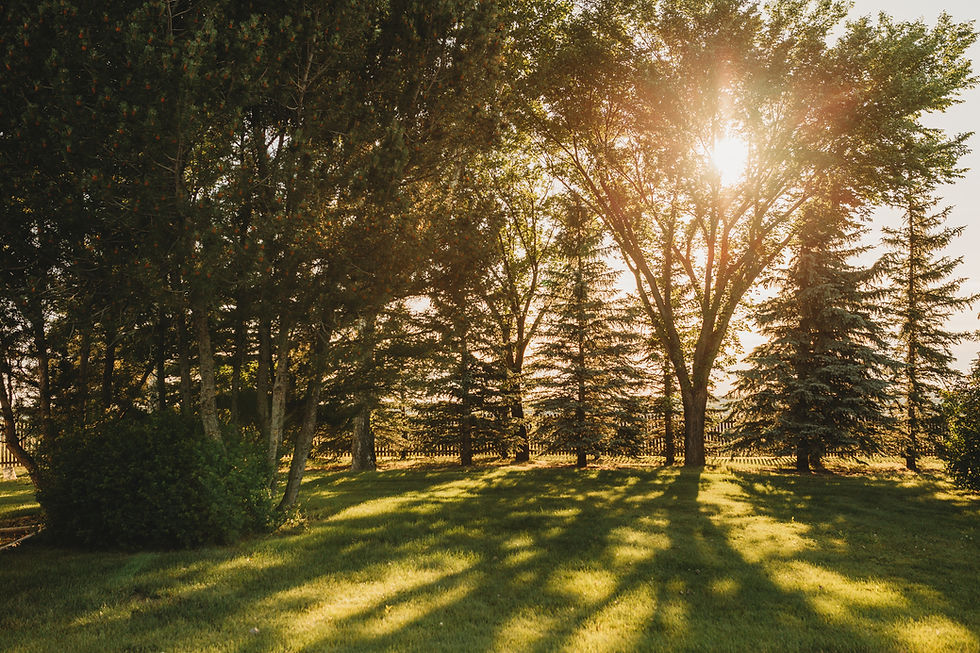 Six Degrees of Meditation