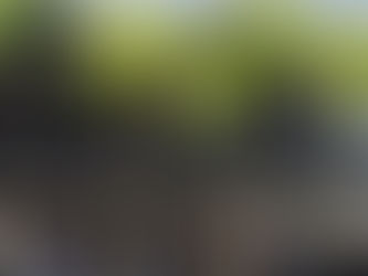 Estado publica comunicado com horários especiais de trabalho para servidores durante jogos do Brasil