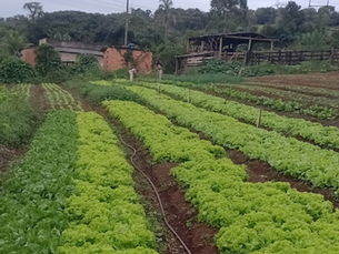 Secretaria de Educação amplia aquisição de alimentos da agricultura familiar