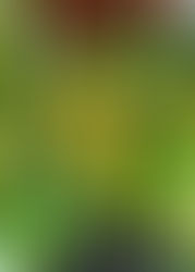 ΔΕΚΕΜΒΡΙΟΣ/ DECEMBER