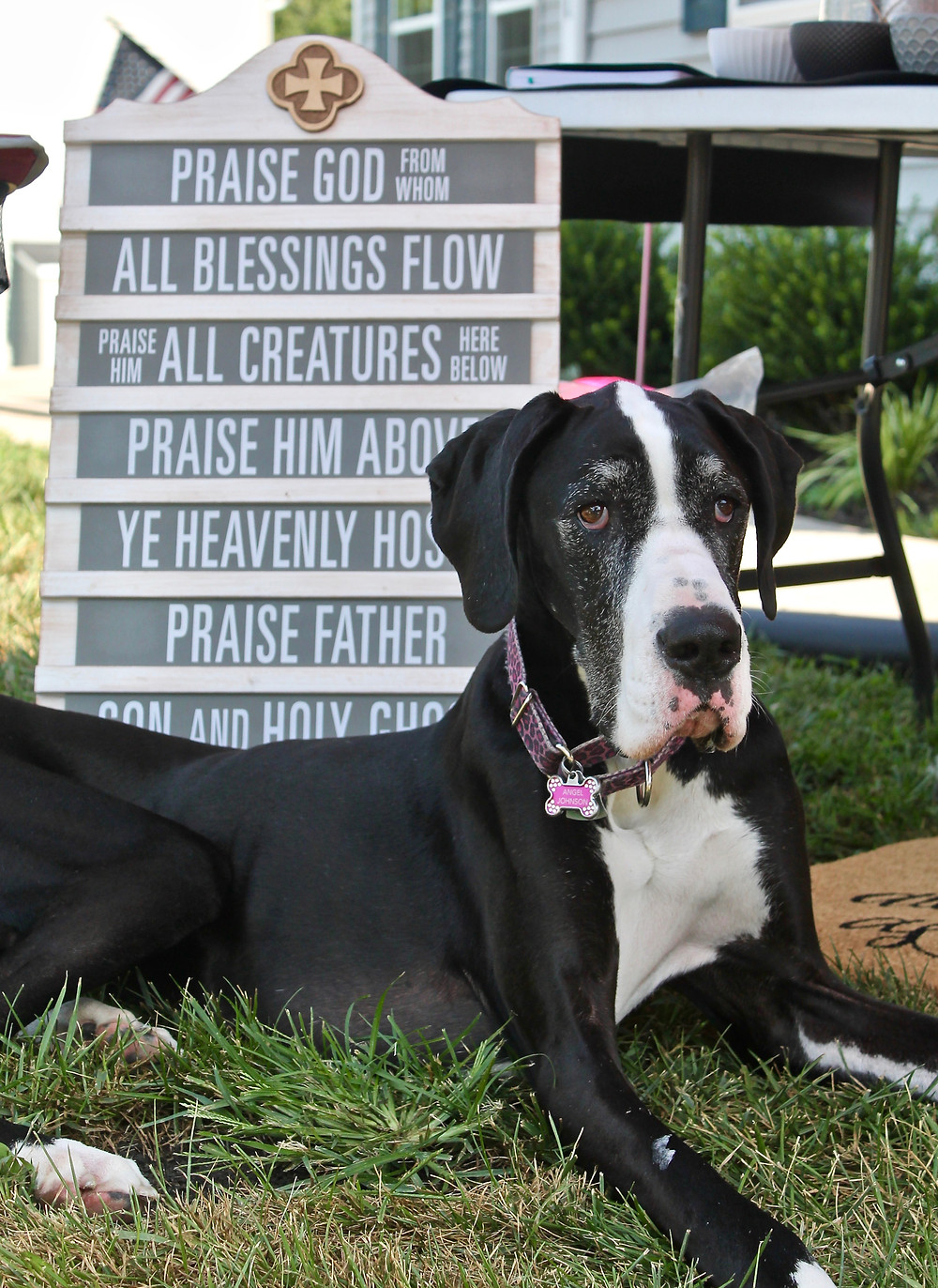 Great Dane in front of Mary & Martha Faith Based Sign