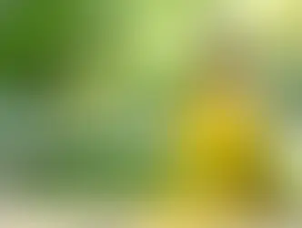 Frasco de vidro com óleo vegetal de babosa ao lado de folhas verdes frescas de aloe vera sobre superfície clara