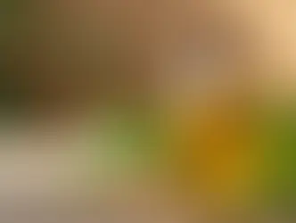 Frasco de vidro com óleo vegetal de jojoba ao lado de sementes e folhas naturais
