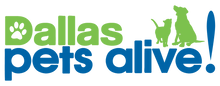 dpa-logo-2-colour-RGB-2019-final-11-19-19-01_1576x.png