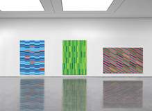 Chromatic Convergence: The Dynamic World of Ann Curtis
