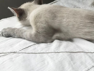 Why Is It So Damn Hard To Admit We’re Lonely?