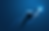 shutterstock_2152051859.png