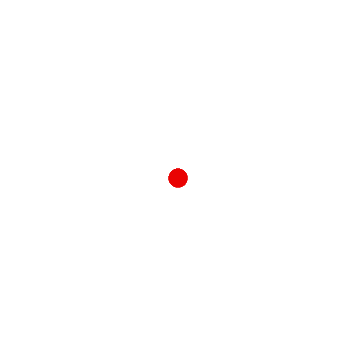 Network.gif