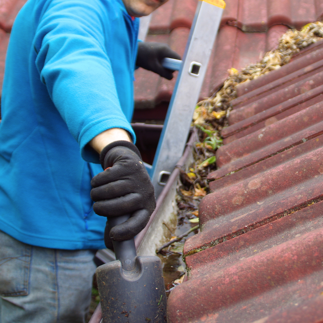 H2OMG Gutter Cleaning.png