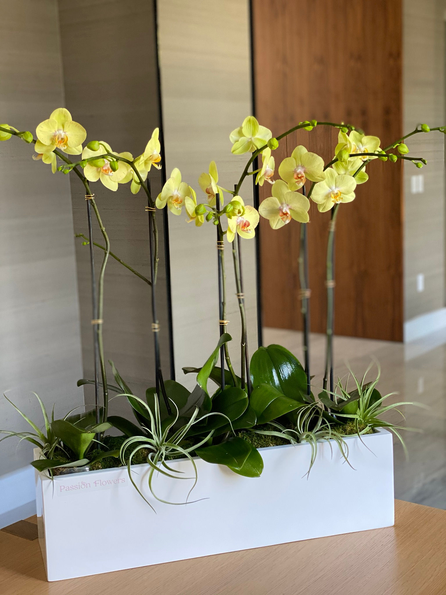 Rectangular Acrylic Vase